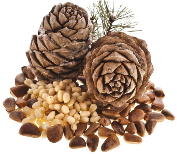 Pine nuts, use it to help solve potency issues