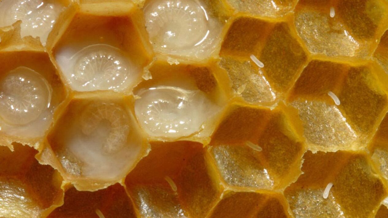 Royal jelly improves effectiveness