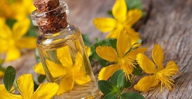 St. John's wort increases male potency